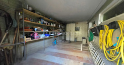 ������ ������� ����������� �����, ̳��������, ���� ������, ����� ���� ������ ���� 22