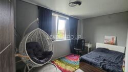 ������ ��������� ������� ������� ����, �����, ������������� ����� ���� 13