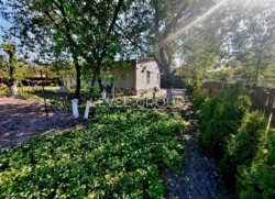 ������ ������� � ��������� ���� 1