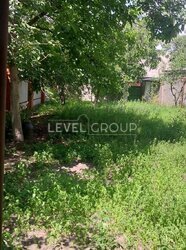 ������ ������� �� ������� ����, ��������� ³��-˳�������, �������� �����-�����, ���, �����������, ���. ˳�����, 19 ���� 2