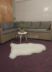 ������ ������� �� ������� ����, ��������� ³��-˳�������, �������� �����-�����, ���, �����������, ���. ˳�����, 19 ���� 8