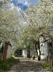 ������ ������� �� �������� ����� �. ������ ���� 6