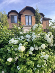 Продаж будинок с.Гореничі, безперебійне живлення світла 16 КВ фото 2 Продаж будинок с.Гореничі, безперебійне живлення світла 16 КВ фото 2