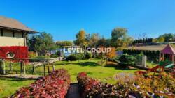 ������ 3 ����������� ������� ������� � ������� �� 45 �����, 700 ��. �, 5 �����, �� ������������ ���� 20