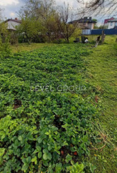 ������� � ���� ������������ � ����������� ������. �.��������������, ���. ���������� 14 ���� 10