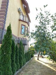   S=600 ..  0,5        10