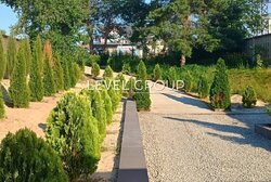 ������� �����, ����������� ����� | ���. ������������ ���� 7