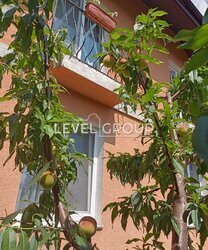 2 ��� 6 �����, 170.2 ��.�. 5 ��� �������� ���������� ���� 6