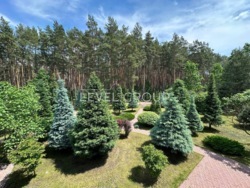 Продаж шикарної резиденції! 36 соток. СПА, кінотеатр і інше! фото 12 Продаж шикарної резиденції! 36 соток. СПА, кінотеатр і інше! фото 12