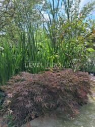 ����������� �������, � �.��������� 400�.��, 34 ����� ���� 12