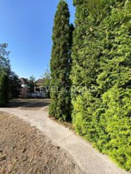   S=600 ..  0,5        5