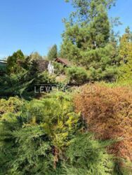   S=600 ..  0,5        6