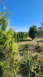 ���������, '���������' ��� � ���������, ��� ���������� � ��� ������� ���� 12