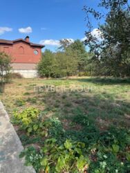 ������ �������, ���� �����. �����-�����. ���� 4