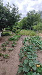 ������ ������� � ����, ����� 388 ��.�. ���� 16