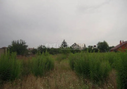 ��������� ������� �. ����������, ����������� �����, �� ������ 39 ����� ���� 17