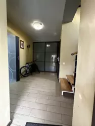     (  )  5