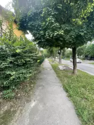    ,   12