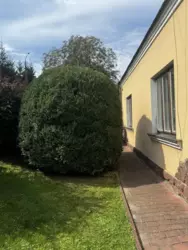      , .    2