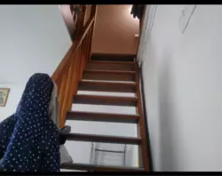     .   .  ( . ).  7