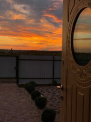 ������ �������, ��������, ���. �.������������� ���� 11