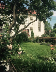 ������������� ������� ���� ����� ���� 35