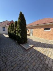 ������� ��� �����. ������� ������ � ������ ������ ���� 13