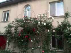   .,   7