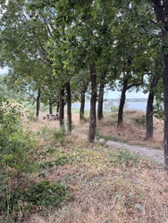 Дача біля озера в СОГ Заря фото 18 Дача біля озера в СОГ Заря фото 18