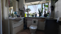 ����������� �� ����� ������� � �.������������(����������) ���� 11