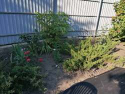 ������� � ��������. �������. ���� 2