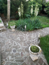       ,    15