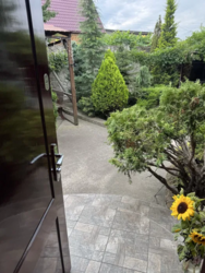 ��������� ������� ������ ��������� ���., ������������(�����������), �������� �����, ������� ������� ���� 29