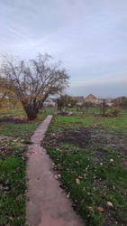 Продаж одноповерхового будинку з гарной локацією в с.Малодолинське фото 19 Продаж одноповерхового будинку з гарной локацією в с.Малодолинське фото 19