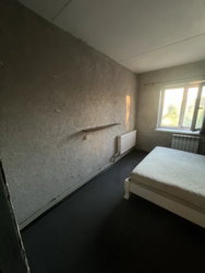 � ������ ������� � ���� ����� ���� 17