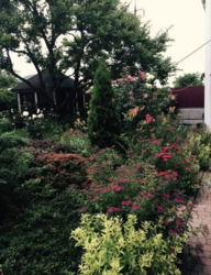 ������������� ������� ���� ����� ���� 14