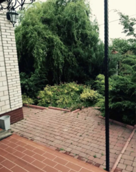 ������������� ������� ���� ����� ���� 17