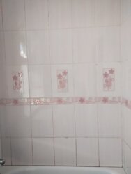 Будинок у с. Молодіжне , кооп 'Хвиля', біля м. Чорноморськ фото 25 Будинок у с. Молодіжне , кооп 'Хвиля', біля м. Чорноморськ фото 25