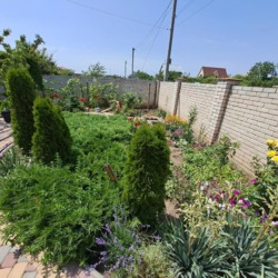 ������� � ���� �������� ��� ���� 4