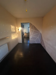 � ������ ������� � ���� ����� ���� 13