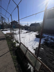 � ������ ������� � ���� ����� ���� 5