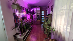 ����������� �� ����� ������� � �.������������(����������) ���� 5