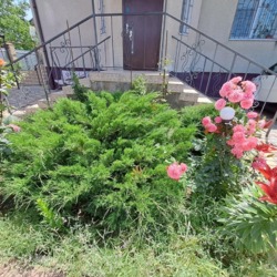 ������� � ���� �������� ��� ���� 10