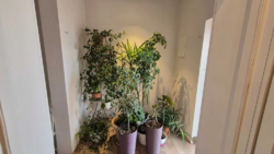 � ������� �������� � �.���������� ���� 16