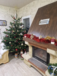 ������� ���� ����� ���� 13