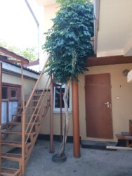 Власний дім та стабільний дохід кожного літа! фото 8 Власний дім та стабільний дохід кожного літа! фото 8