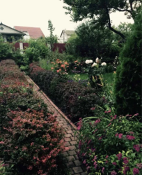 ������������� ������� ���� ����� ���� 2