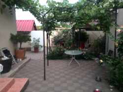   .,   13