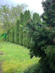 � ����� ��������, �������������� ������� � ���� ������, ��� ������������. ���� 21