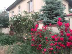   .,   1